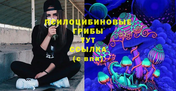 мяу мяу мука Алексеевка