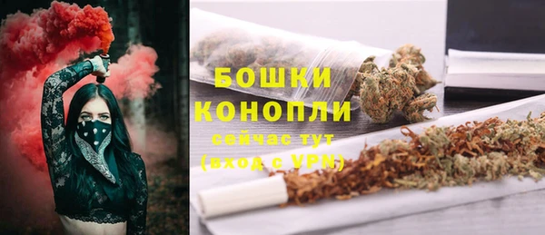 гидра Переславль-Залесский
