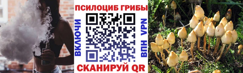 Галлюциногенные грибы Magic Shrooms  Белый 